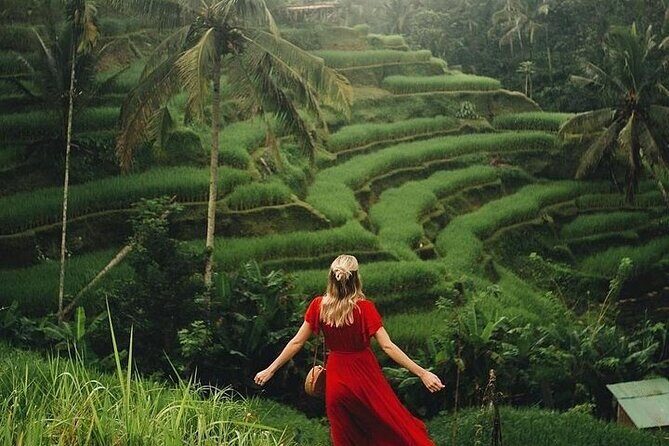 Ubud: Swing - Monkey Forest - Waterfall - Temple - Rice Terraces - Art Crafts - Price and what you’re paying for (and what you still pay)