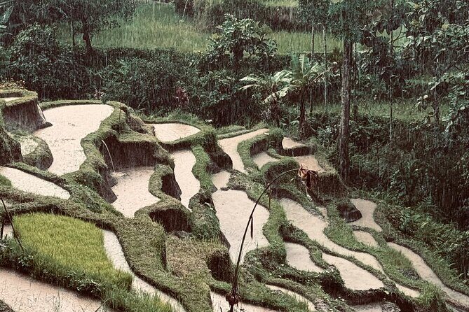 Ubud Top Tours to Discover Bali’s Cultural and Natural Wonders - Key highlights you’ll actually feel during the day