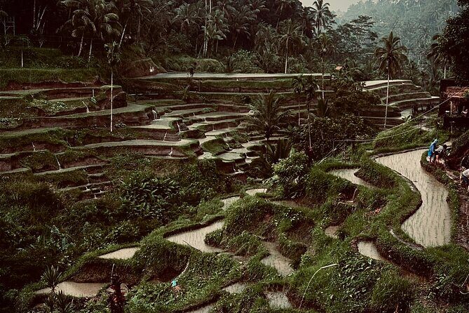 Ubud Top Tours to Discover Bali’s Cultural and Natural Wonders - Stop 1: Rumah Bali Gung Aji and the feel of old-school Balinese life