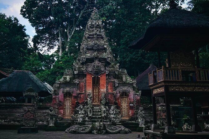 Ubud Top Tours to Discover Bali’s Cultural and Natural Wonders - Stop 3: Sacred Monkey Forest Sanctuary and ancient temples in the trees
