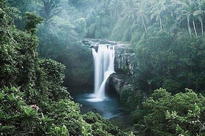 Ubud Top Tours to Discover Bali’s Cultural and Natural Wonders - Stop 4: Pakudui Tegalalang Rice Terraces for big views and rice-farming context