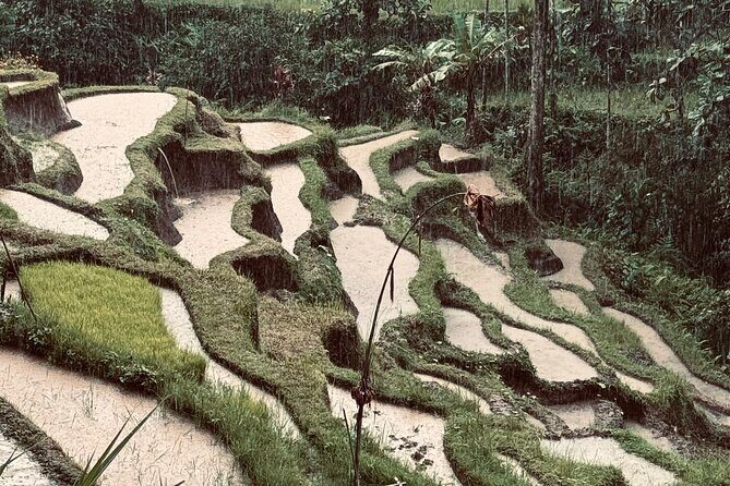 Ubud Top Tours to Discover Bali’s Cultural and Natural Wonders - Stop 5: Tirta Empul Temple and the water purification ritual