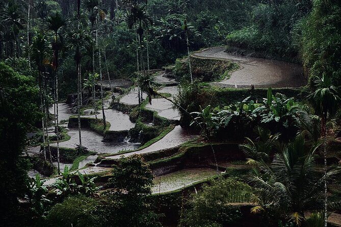 Ubud Top Tours to Discover Bali’s Cultural and Natural Wonders - Pacing, comfort, and why a good driver changes everything