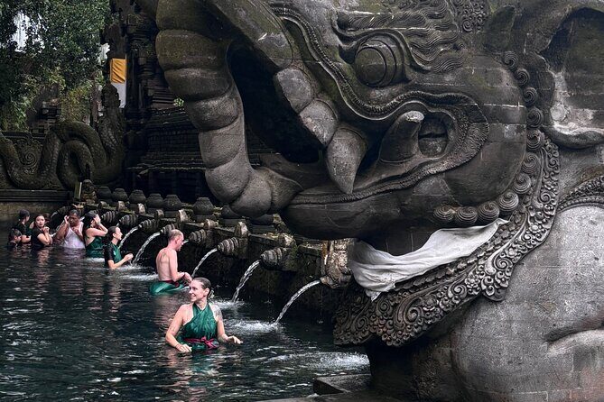 Ubud Top Tours to Discover Bali’s Cultural and Natural Wonders - Price and logistics: what $64 buys you in real life