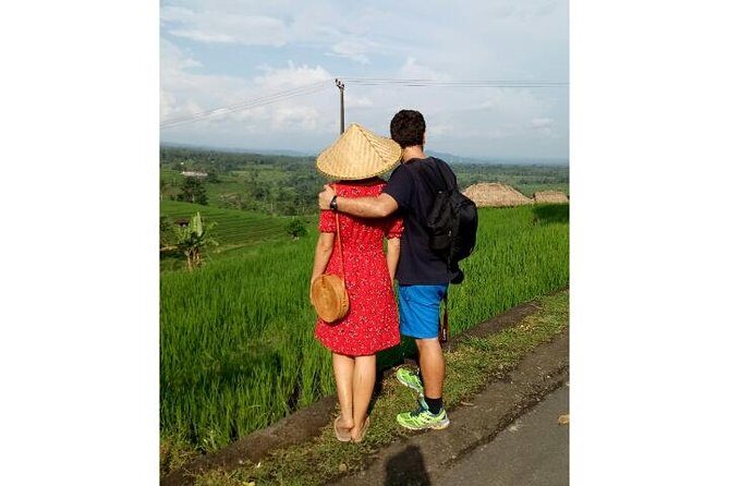 Ubud Tour Monkey Forest, Rice Terrace, Swing, Temple, Waterfall - Price and what $60 per group really buys