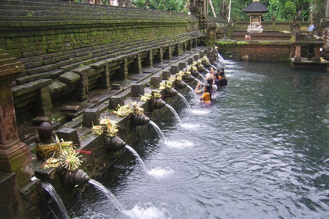 Ubud Tour - Ubud Highlight - Private Tour All inclusive - Sacred Monkey Forest Sanctuary: fun, sacred, and a little chaotic