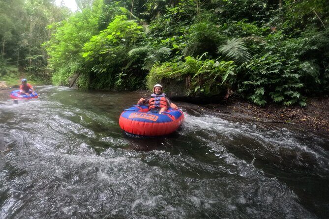 Ubud Tubing Adventure Holy Spring Temple Private Guided Tour - Price and value: why $58.34 can make sense