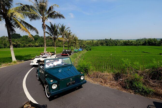 Ubud VW Safari Bali Tour - Volkswagen Classic Car Trip - Key Highlights Worth Planning Around