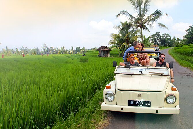 Ubud VW Safari Bali Tour - Volkswagen Classic Car Trip - Tegalalang Rice Terrace: how to enjoy the viewpoints without rushing