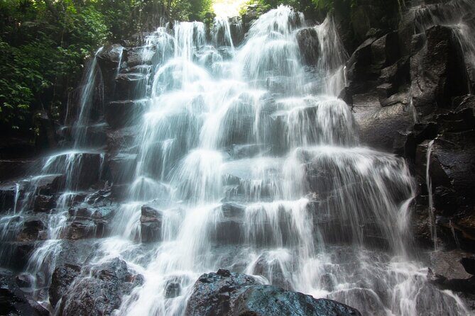 Ubud Waterfalls and Rice Terraces Private Day Tour - Price and What Makes It Good Value at $29.77