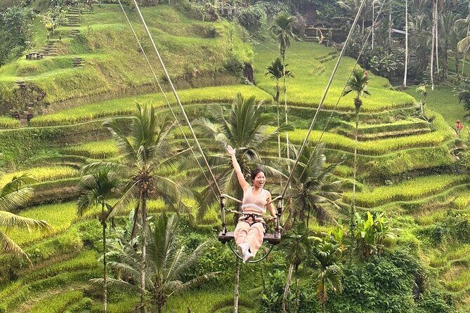 Ubud Wonderful Day Tour - Price and value: what $40 covers and why it adds up