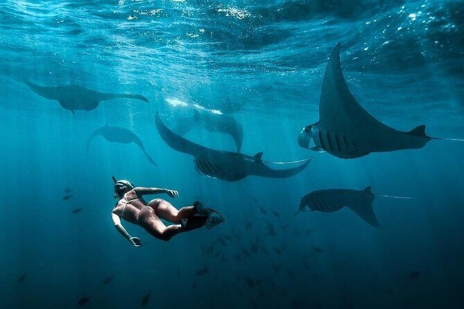 VIP Private Boat to Nusa Penida: Snorkeling with Mantas + Land Tour Adventure - Price and value: is $849 per person worth it?