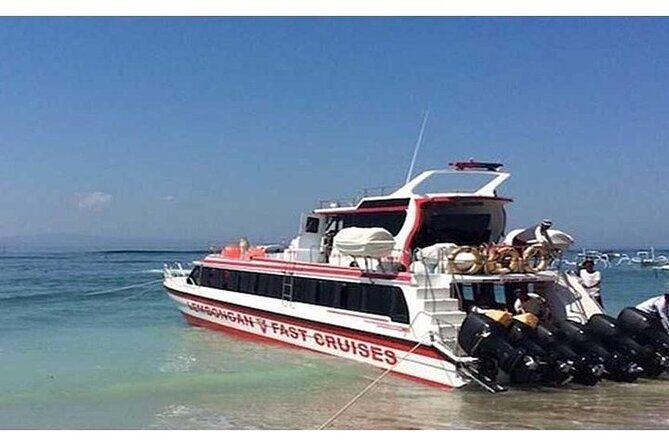 West Nusa Penida Full-Day Private Tour - West Nusa Penida on a Tight Timeline: Why the West Coast Focus Works