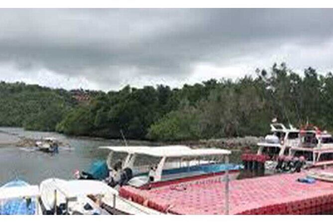 West Nusa Penida Full-Day Private Tour - The Logistics That Make or Break a Day: AC, Tickets, Insurance, and English Help