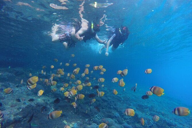 West Nusa Penida With Snorkeling Private Guided Tour - How the Bali-to-Penida Day Really Runs (About 10 Hours)